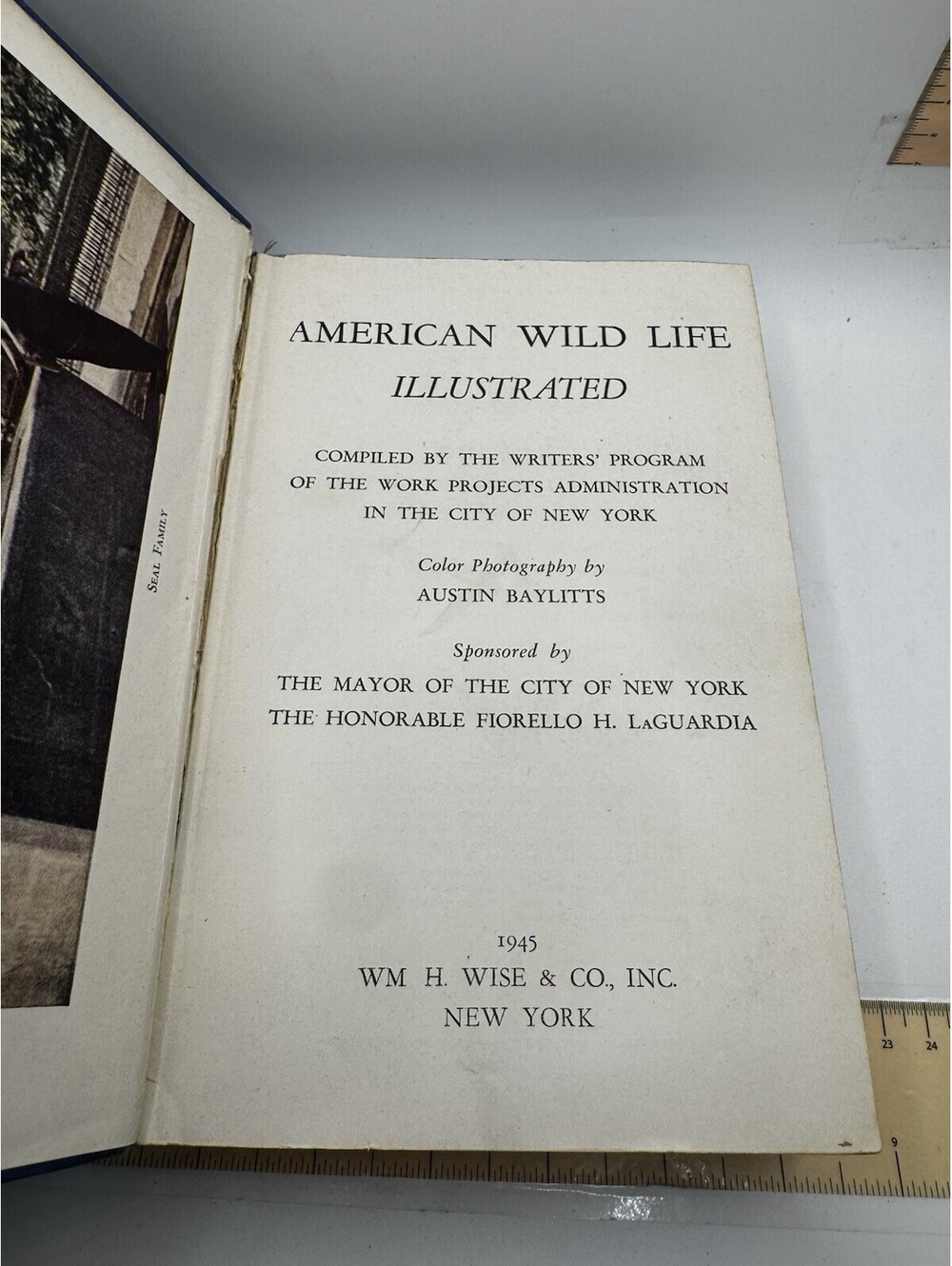 Vintage 1945 - American Wild Life Illustrated - Works Project of NYC